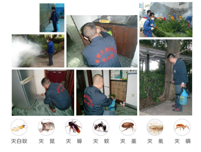 繼上一次后的又一次震撼場(chǎng)景！